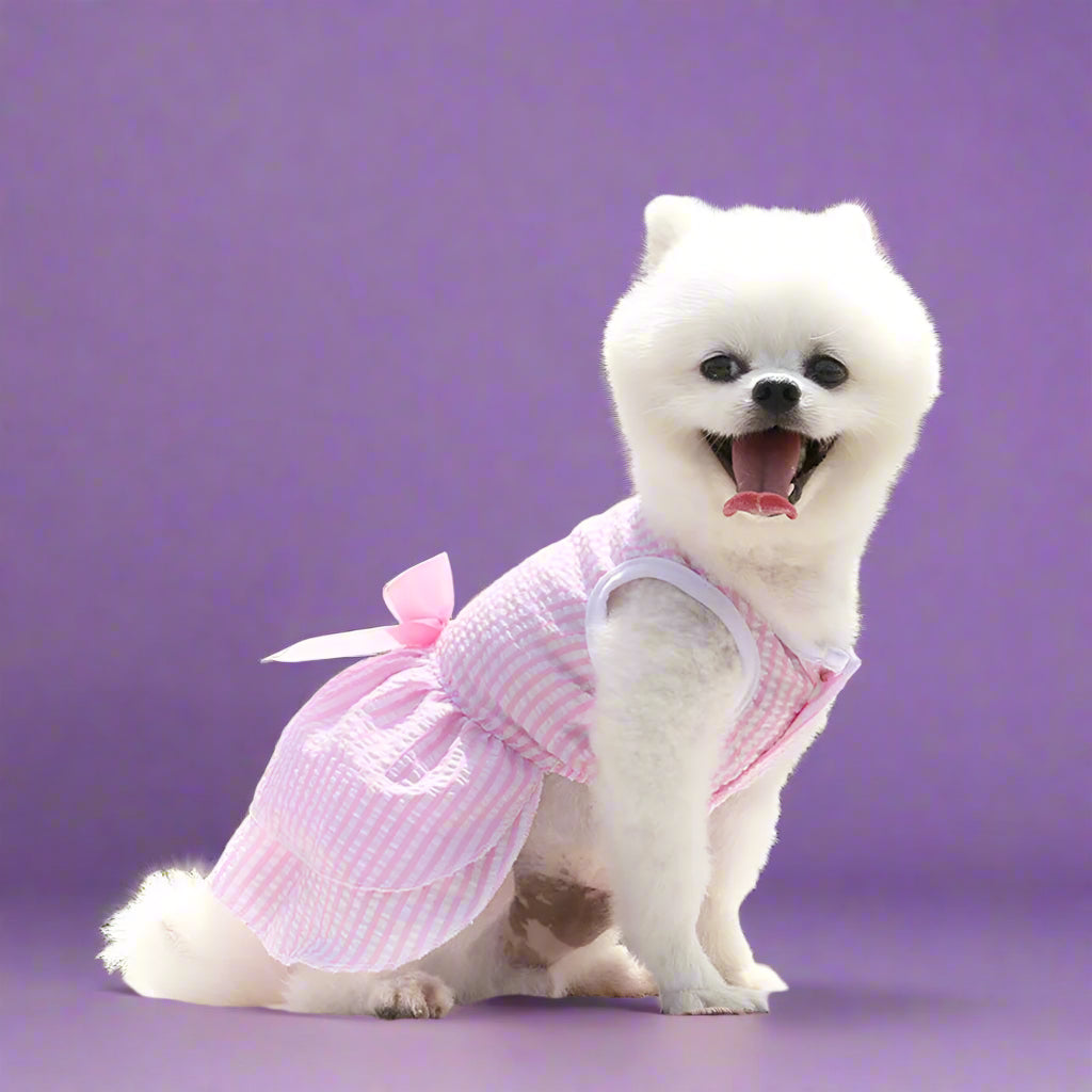 clothes for dogs
 Summer Dog Dress for Small Pets