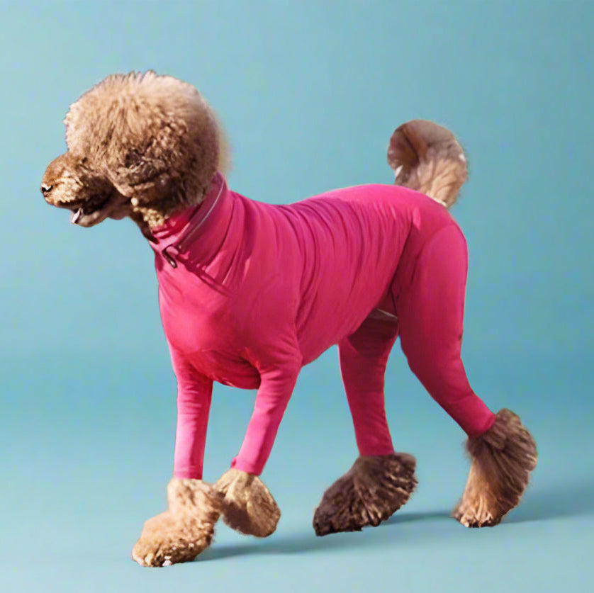 cute dog clothes
 Anxiety-Calming Dog Jumpsuit Onesie