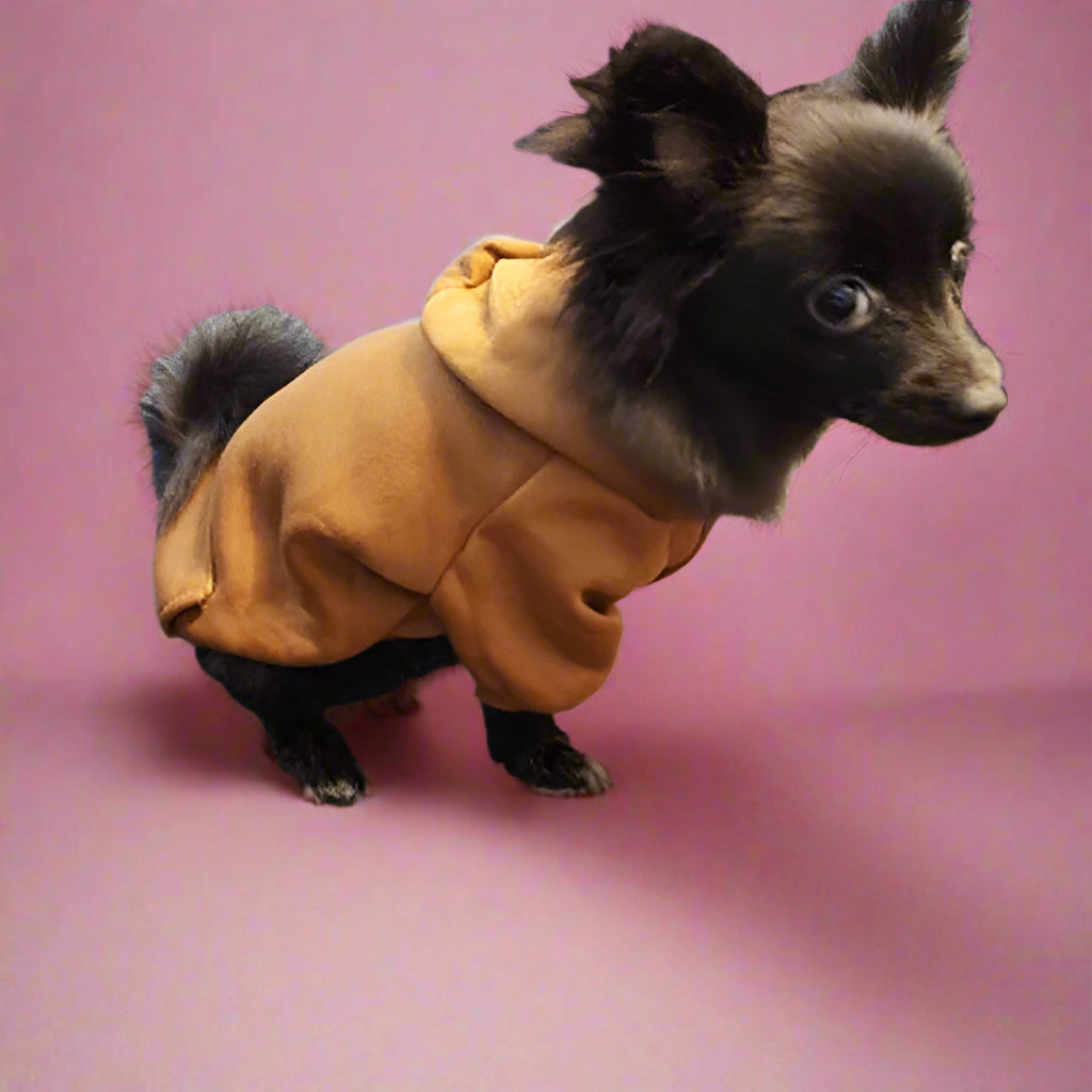 cute dog clothes
 Cozy Dog Sweater for Winter Walks
