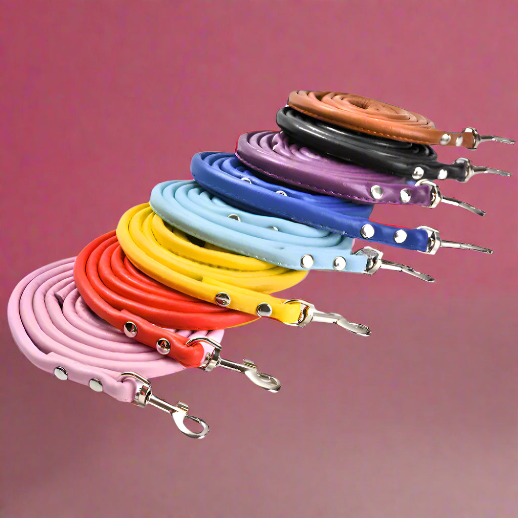 designer dog leash
 Colorful PU Rolled Dog Leash for Small Breeds