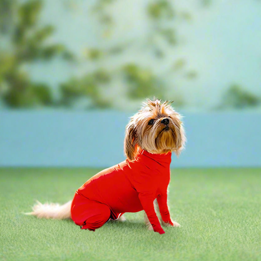 dog apparel
 Anxiety-Calming Dog Jumpsuit Onesie