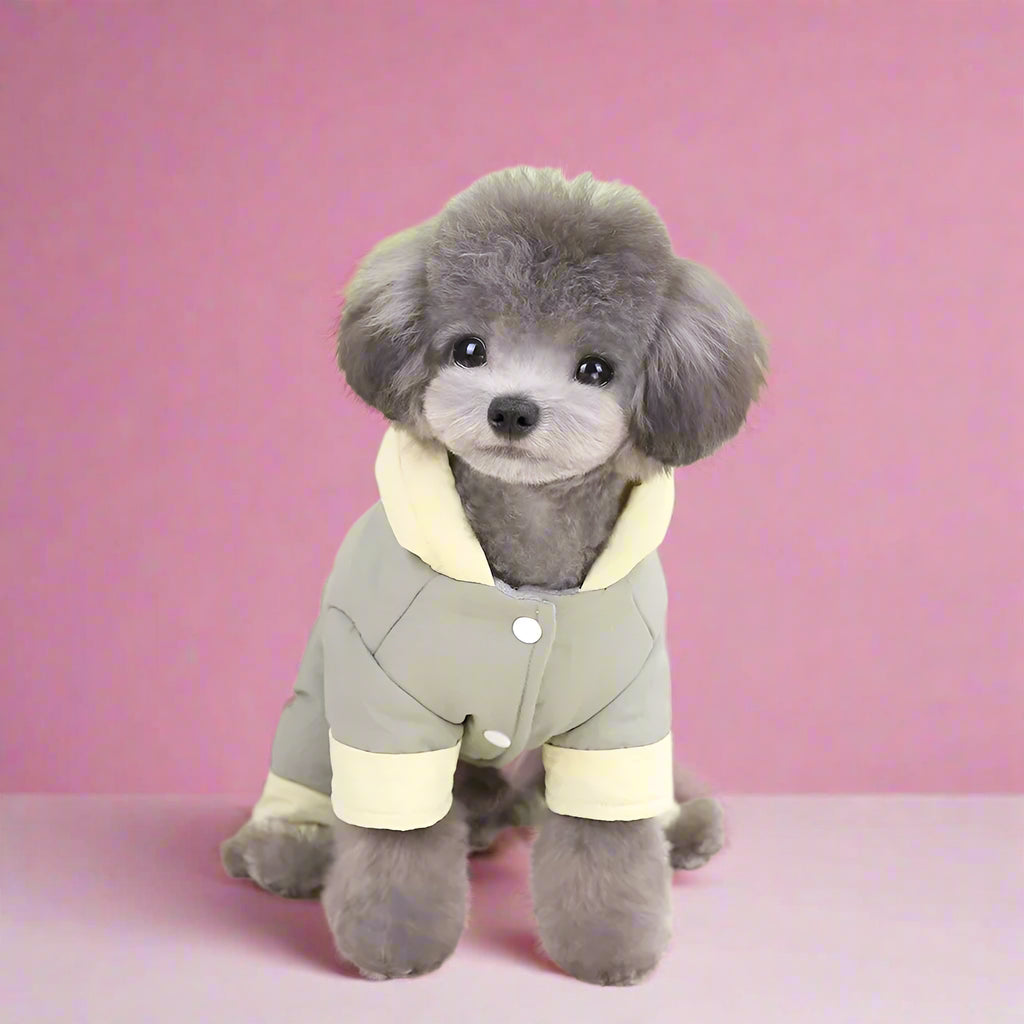 dog apparel Small Dog Padded Winter Snowsuit