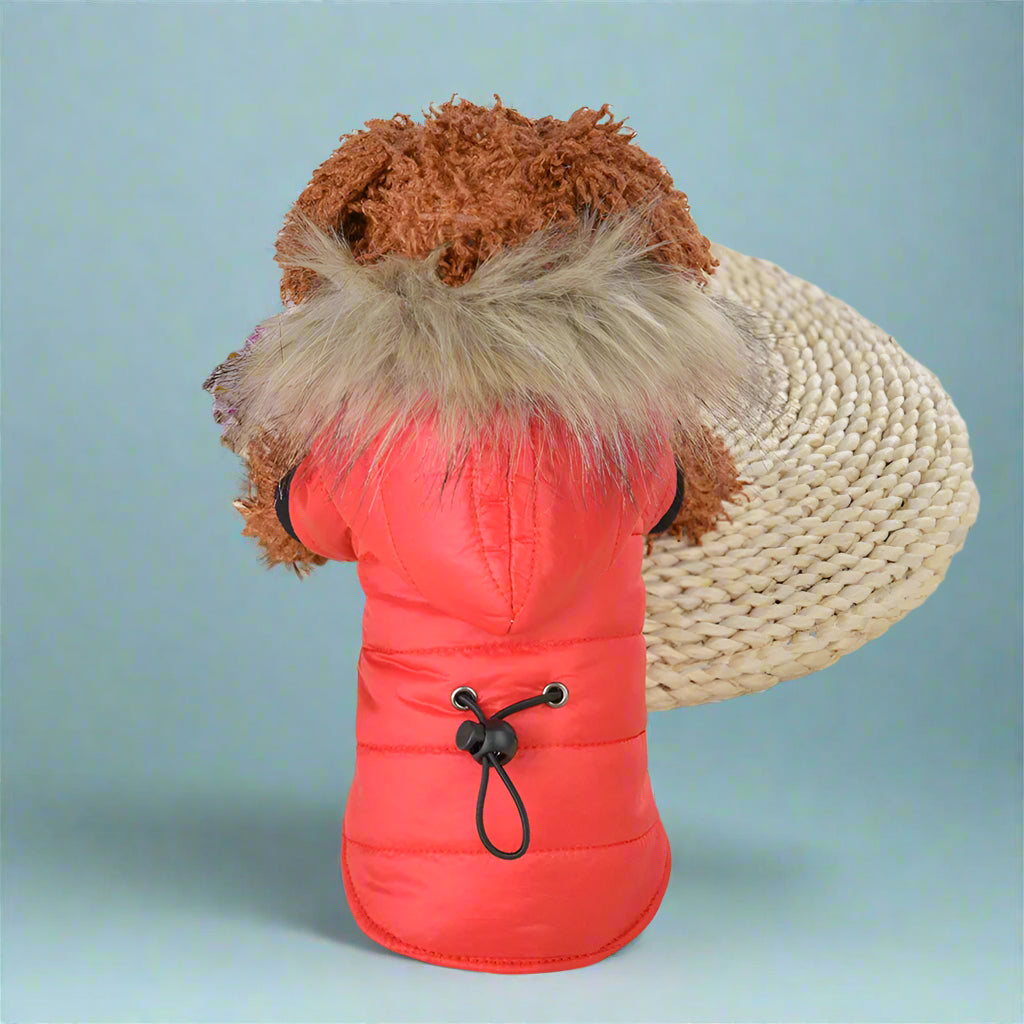dog apparel Warm Padded Winter Dog Coat
