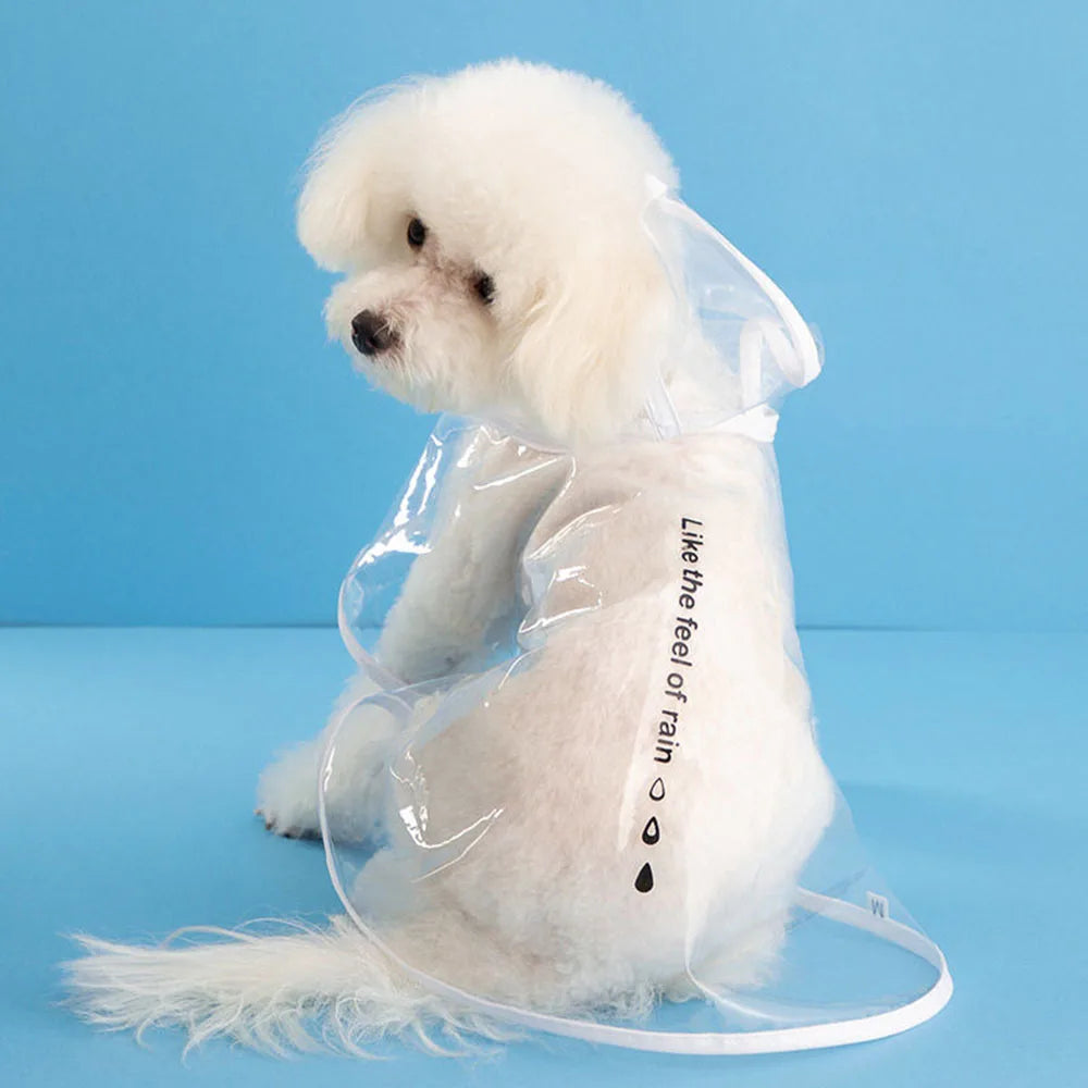 dog clear raincoat for wet weather