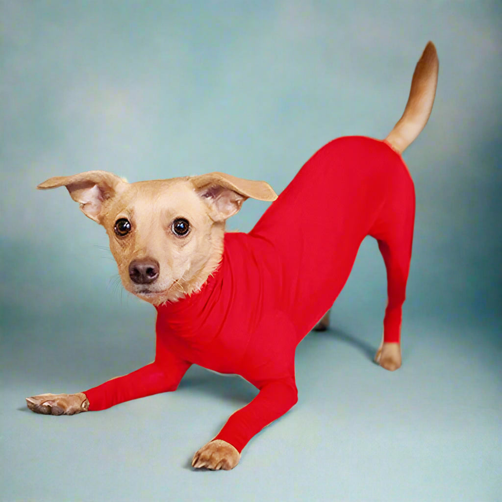 dog clothes
 Anxiety-Calming Dog Jumpsuit Onesie