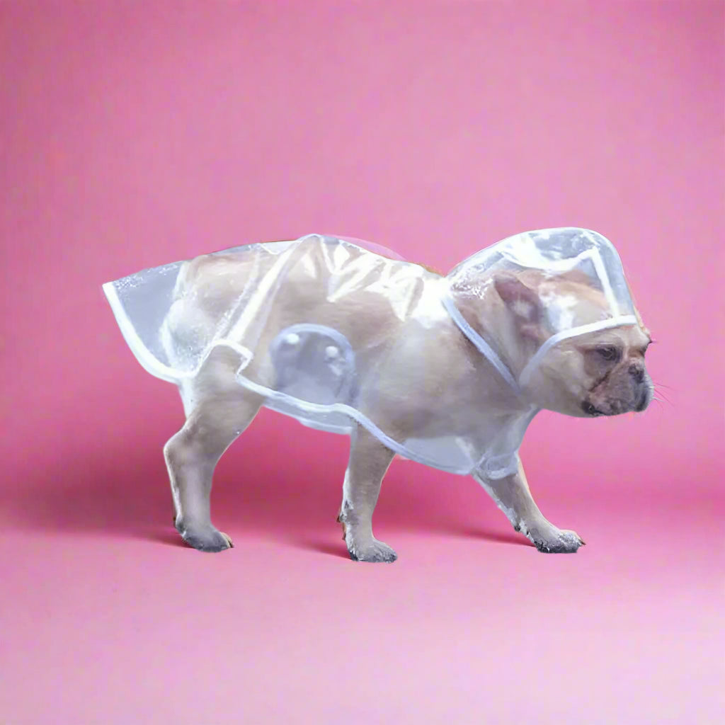dog clothes Clear Raincoat for Small Dogs