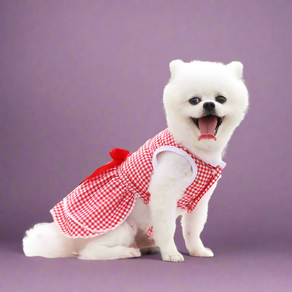dog clothes
 Summer Dog Dress for Small Pets