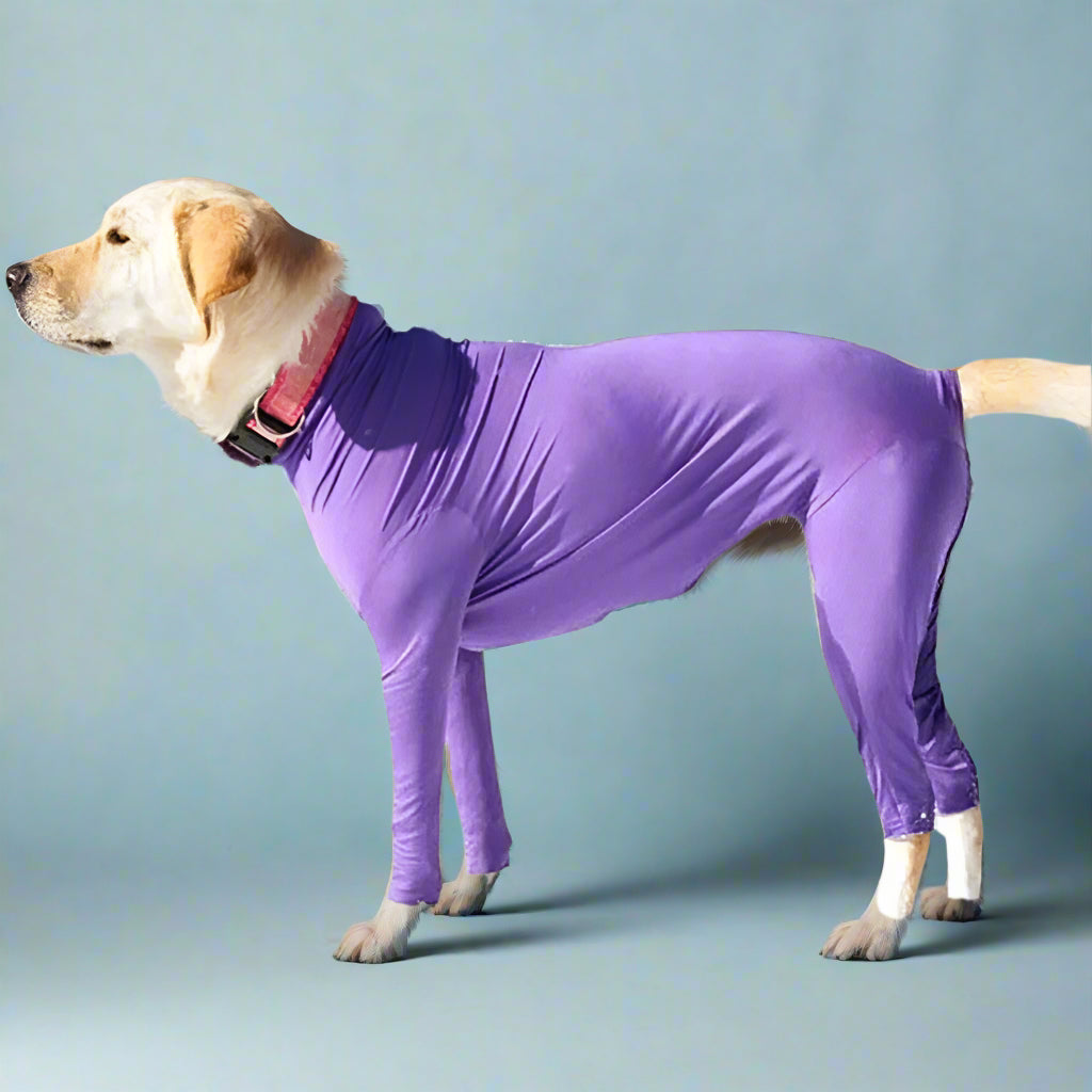 dog clothing
 Anxiety-Calming Dog Jumpsuit Onesie