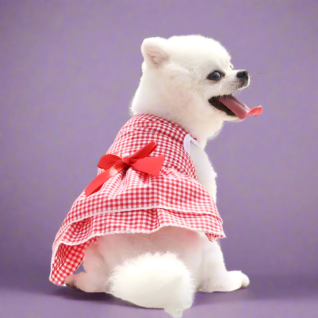 dog clothing
 Summer Dog Dress for Small Pets