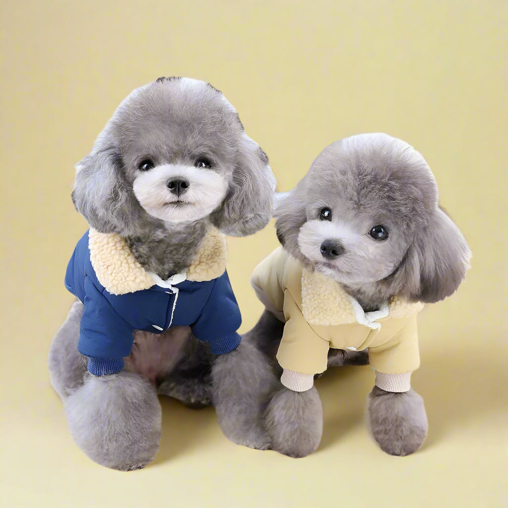 dog clothing online Warm Waterproof Dog Coat for Small Dogs & Cats