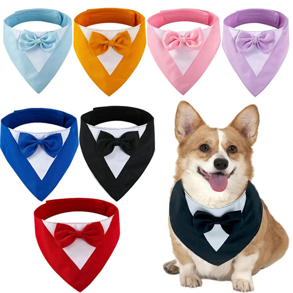 dog collars near me
 Formal Dog Bow Tie Collar for Weddings & Parties