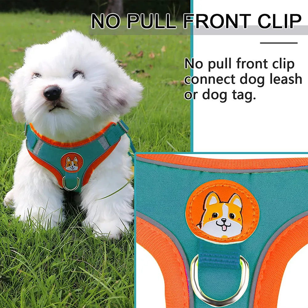 dog harness
 Reflective Step-In Dog Harness & Leash Set