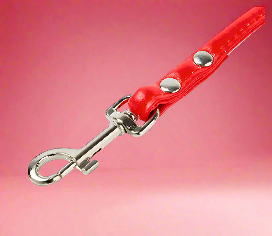 dog leash clip
 Colorful PU Rolled Dog Leash for Small Breeds