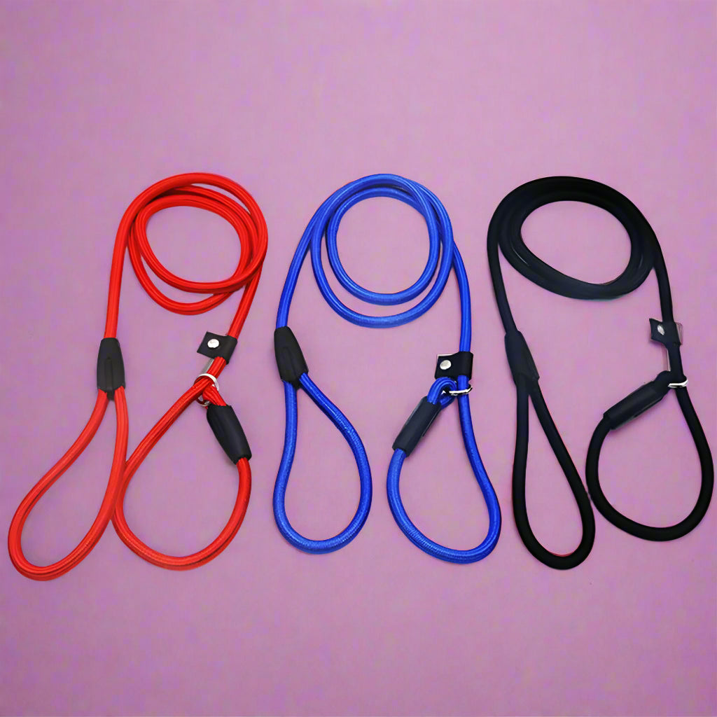 dog leash for dogs that pull Nylon Dog Slip Lead Rope for Puppies
