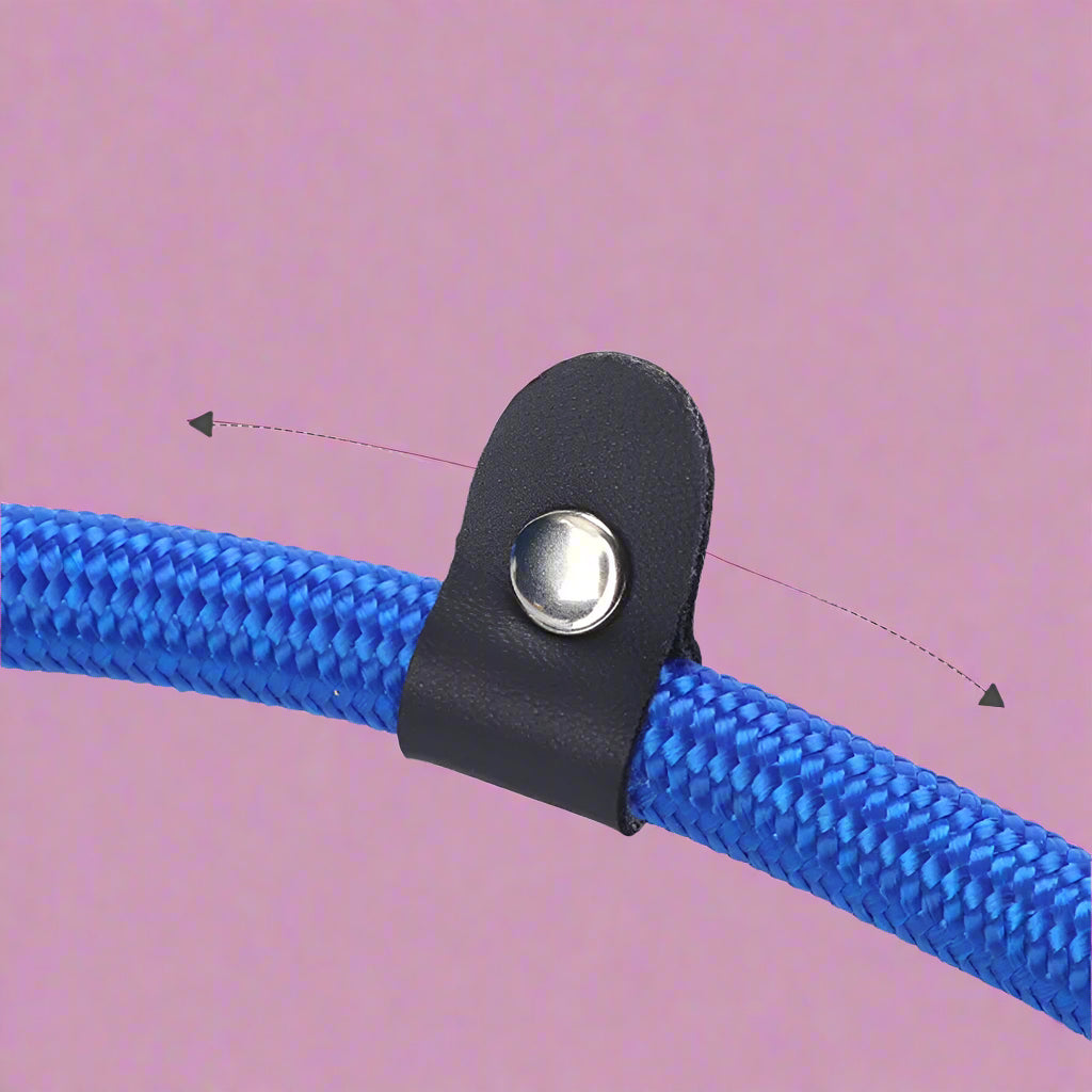 dog leash price Nylon Dog Slip Lead Rope for Puppies