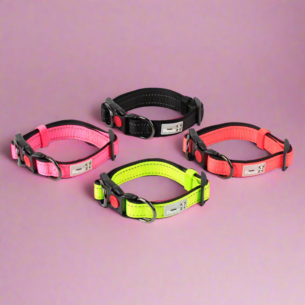 dog leash price Reflective Soft Padded Nylon Dog Collar