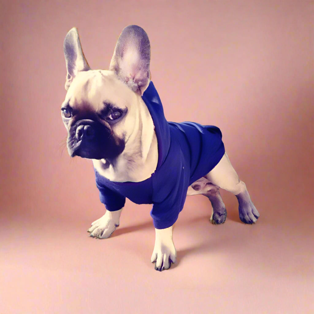 dog outfits
 Cozy Dog Sweater for Winter Walks
