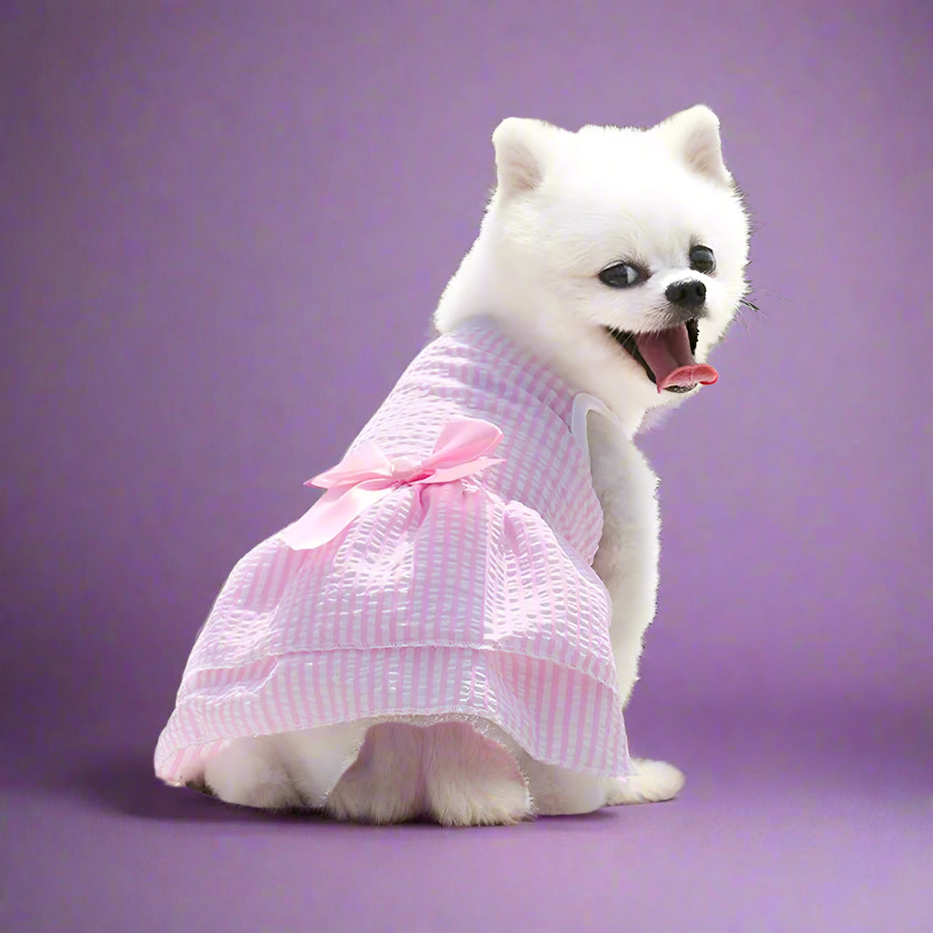 dog outfits
 Summer Dog tutu Dress for Small Pets