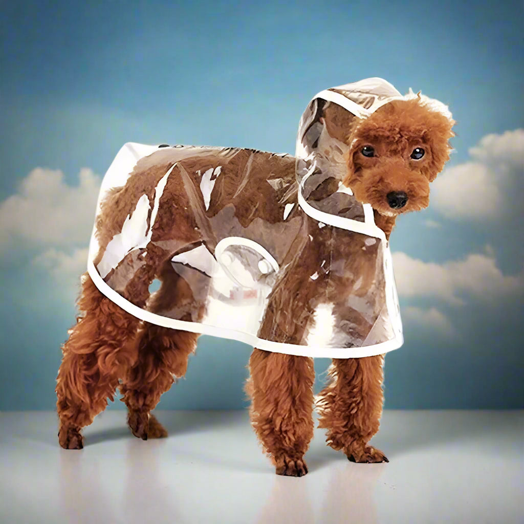 dog raincoat for wet weather