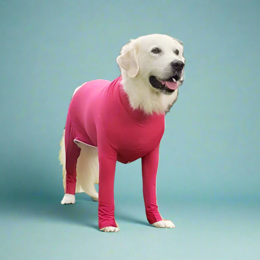 dog wear
 Anxiety-Calming Dog Jumpsuit Onesie