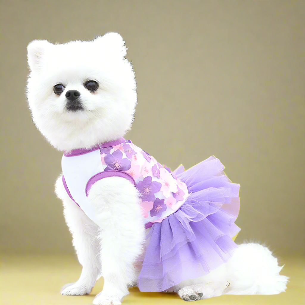 dog wear
 Lace Chiffon Floral Pet Dress for Summer