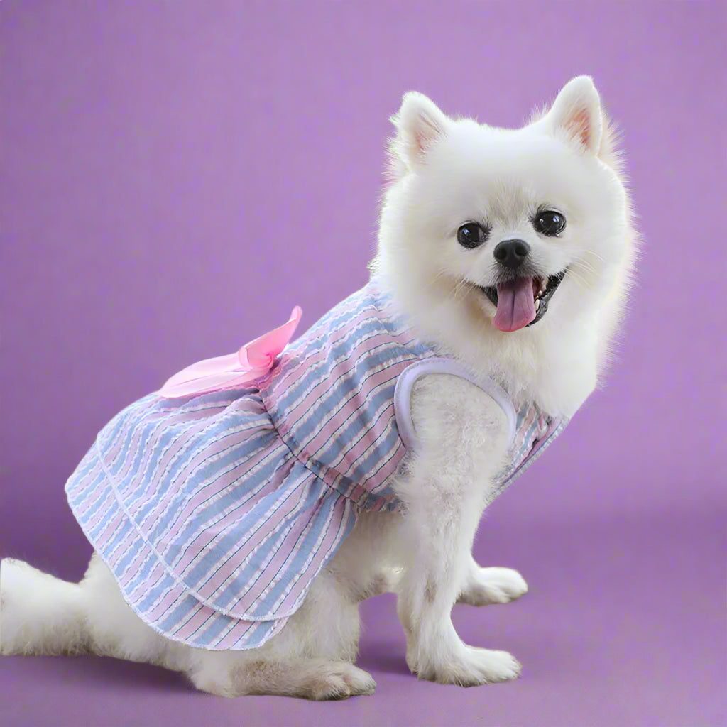 dog wear
 Summer Dog Dress for Small Pets