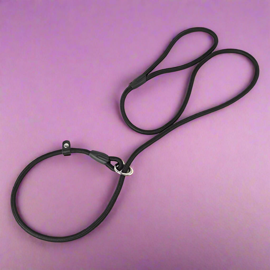 dogs leash Nylon Dog Slip Lead Rope for Puppies