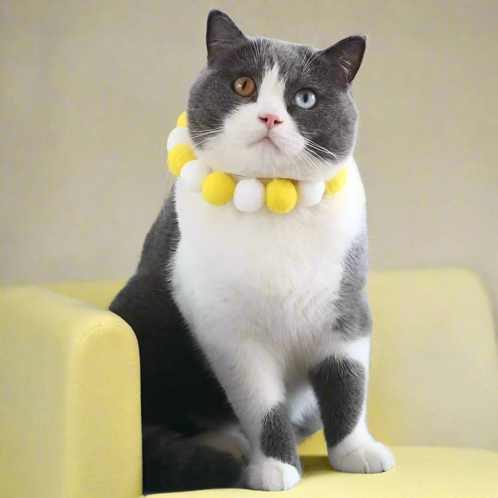 fancy dog collars
 Cute Plush Ball Pet Necklace Collar for Cats & Small Dogs