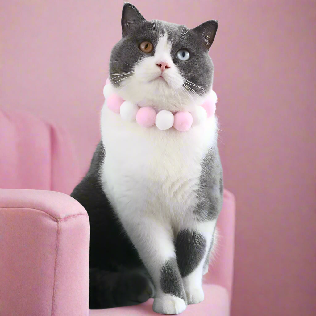 fancy pet gear
 Cute Plush Ball Pet Necklace Collar for Cats & Small Dogs