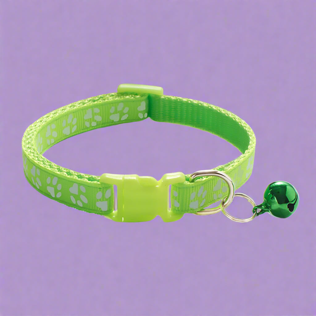 fluorescent green Kitten Collar with Bell – Adjustable and Safe Fit