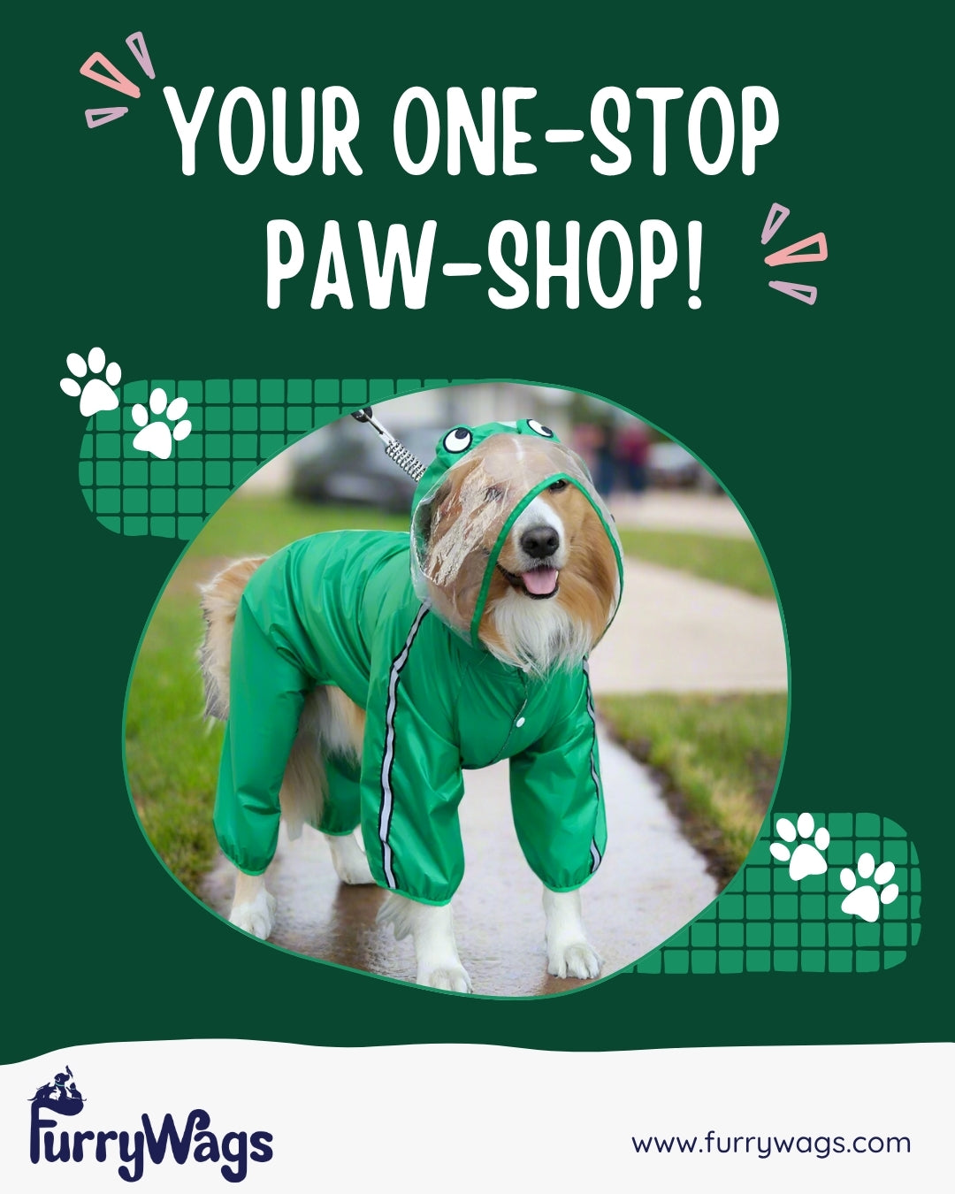 furrywags-dogs instagram post