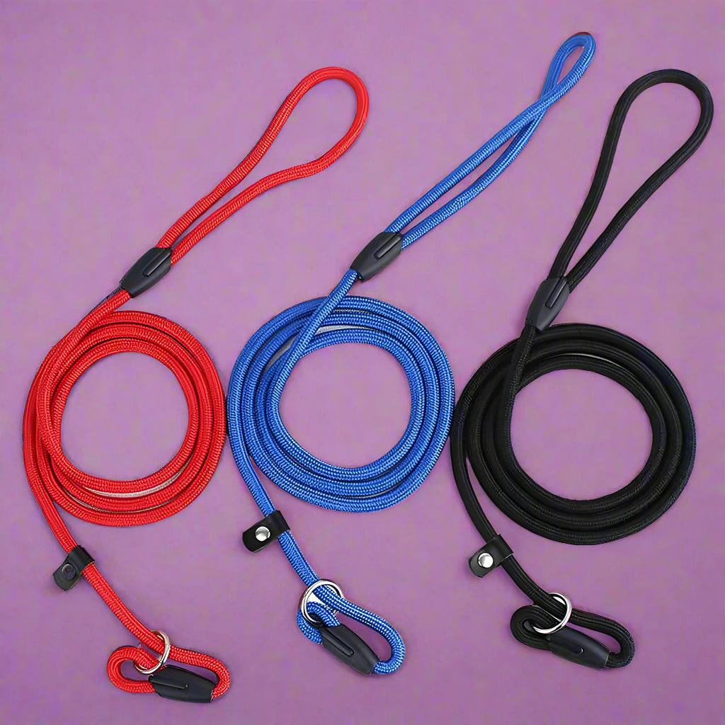 furrywags Nylon Dog Slip Lead Rope for Puppies