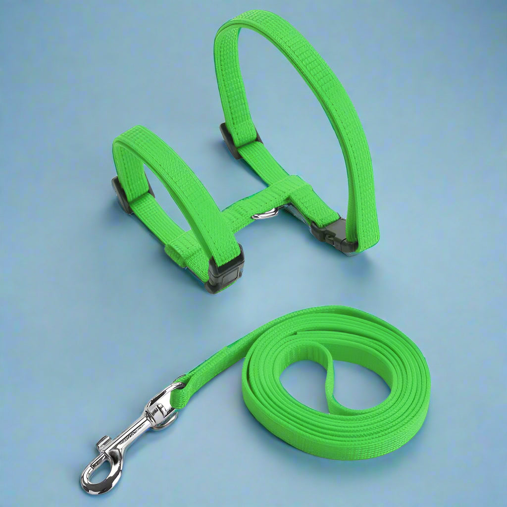 green Adjustable Cat Harness Leash Set