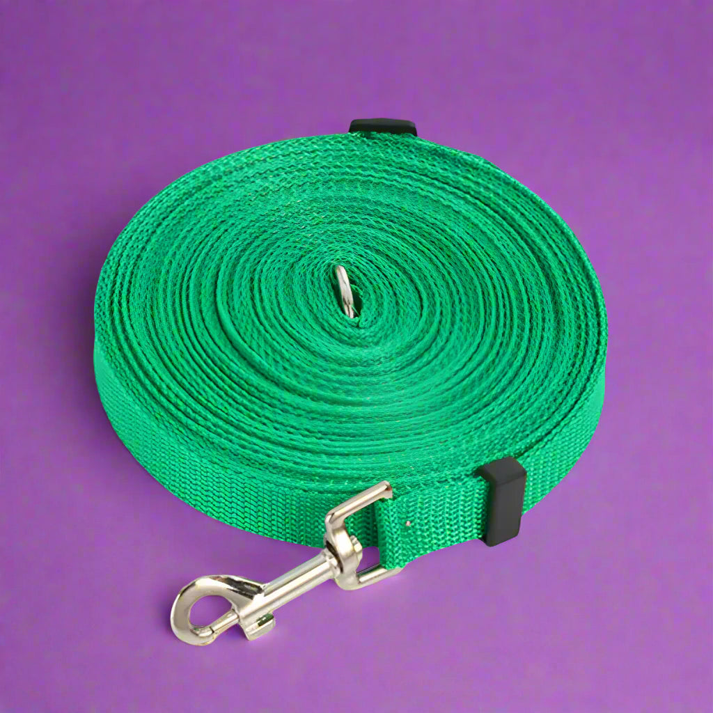 green Durable Long Leash for Dog Training