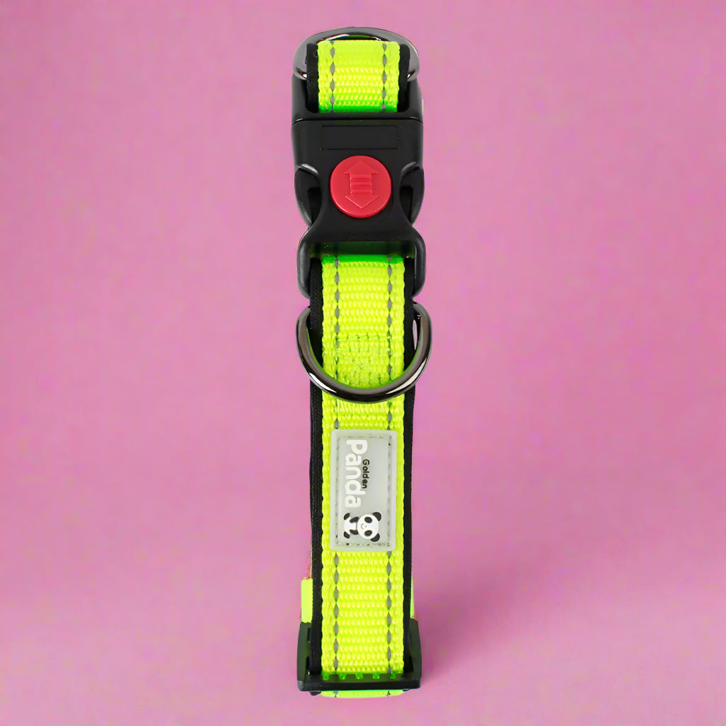 green Reflective Soft Padded Nylon Dog Collar