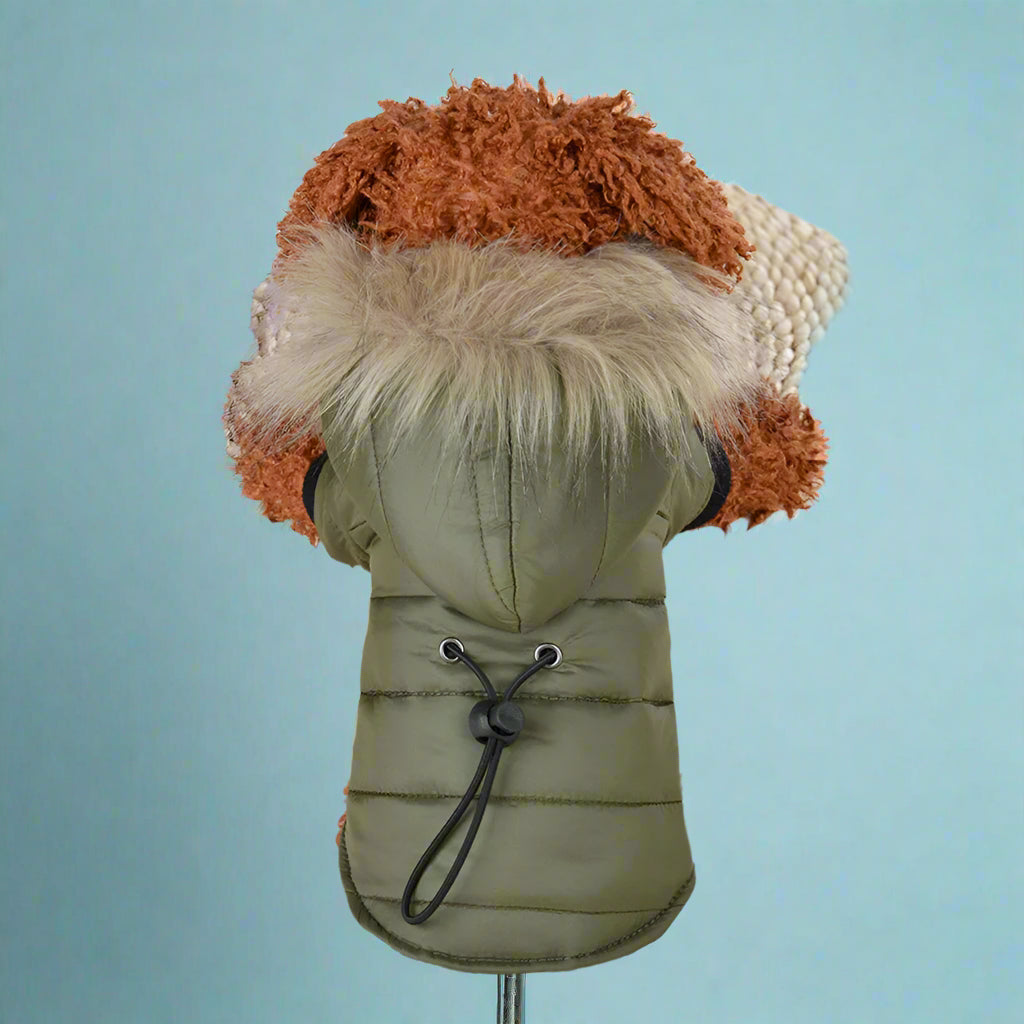 green Warm Padded Winter Dog Coat
