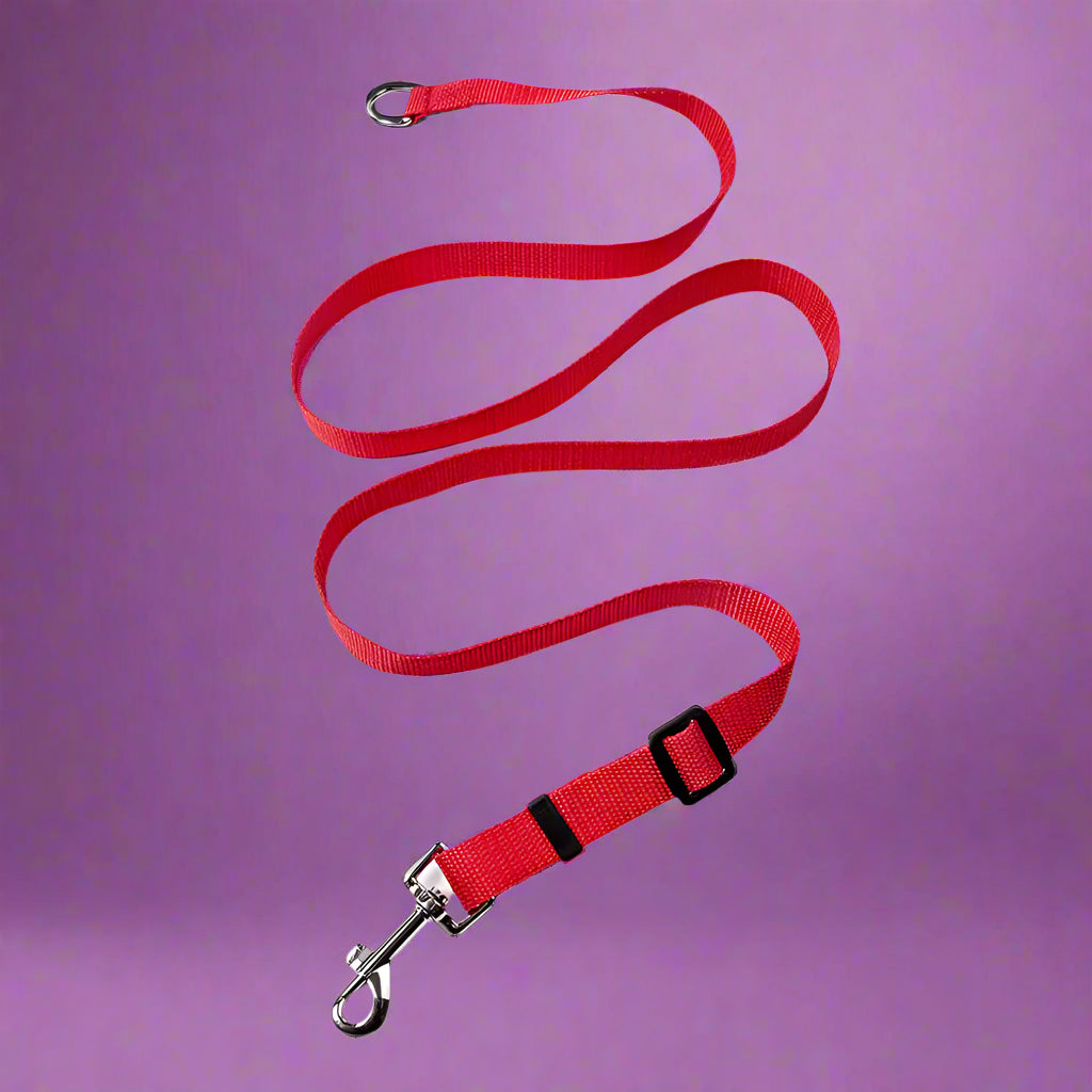 heavy duty dog leash
 Durable Long Leash for Dog Training