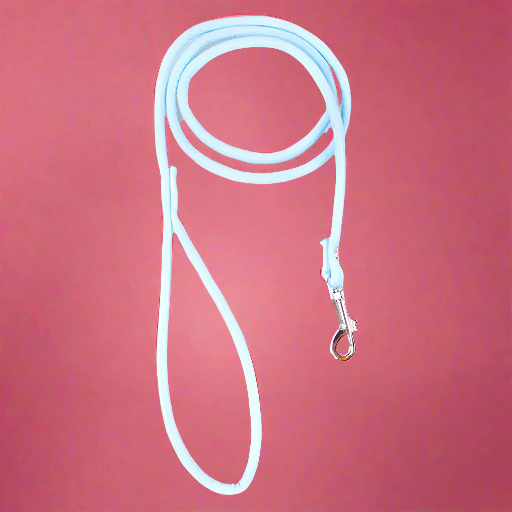 high quality dog leash
 Colorful PU Rolled Dog Leash for Small Breeds