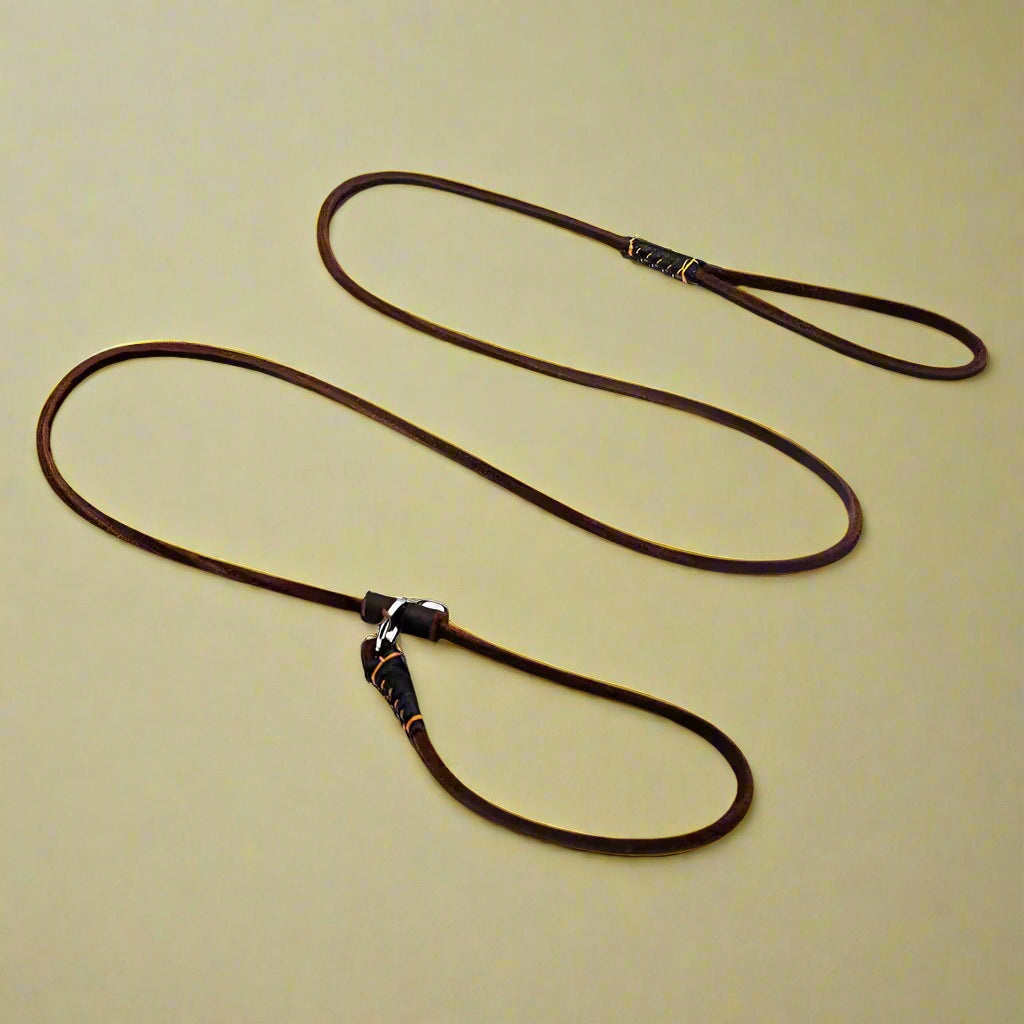 high quality dog leash
 Genuine Leather Slip Leash for Small Dogs