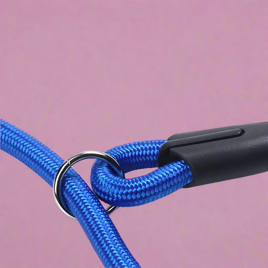 high quality dog leash
 Nylon Dog Slip Lead Rope for Puppies