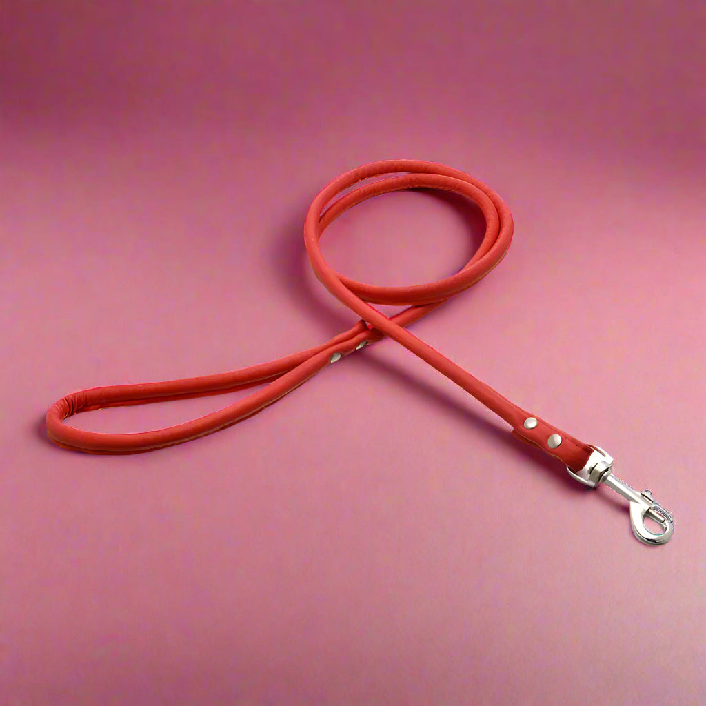 leash for puppies
 Colorful PU Rolled Dog Leash for Small Breeds