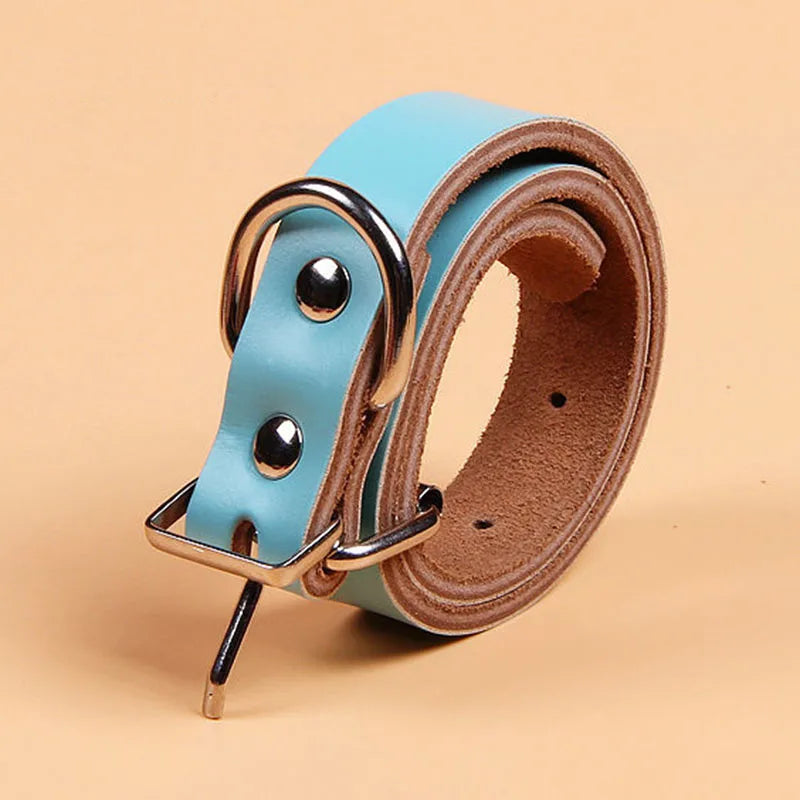 leash for walking dogs
 Adjustable Genuine Leather Dog Collar