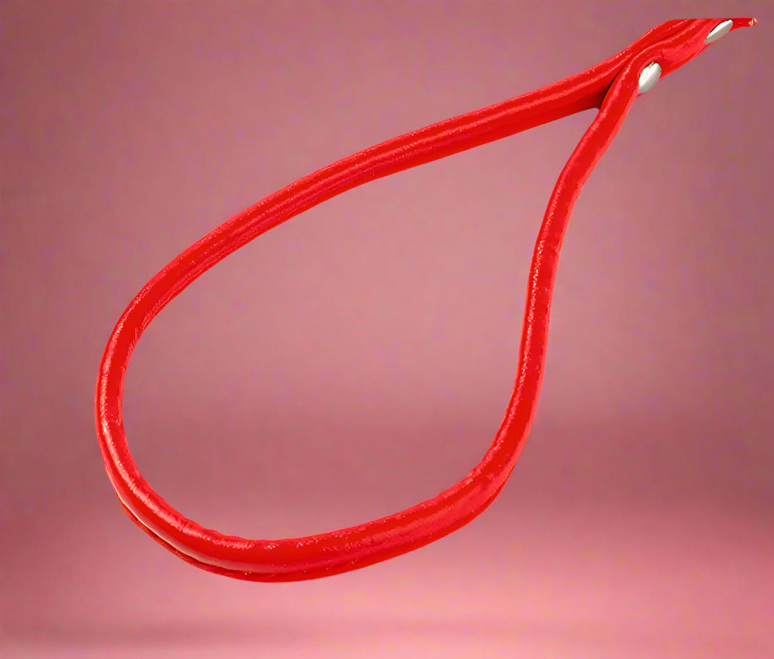 leash safety for dogs
Colorful PU Rolled Dog Leash for Small Breeds