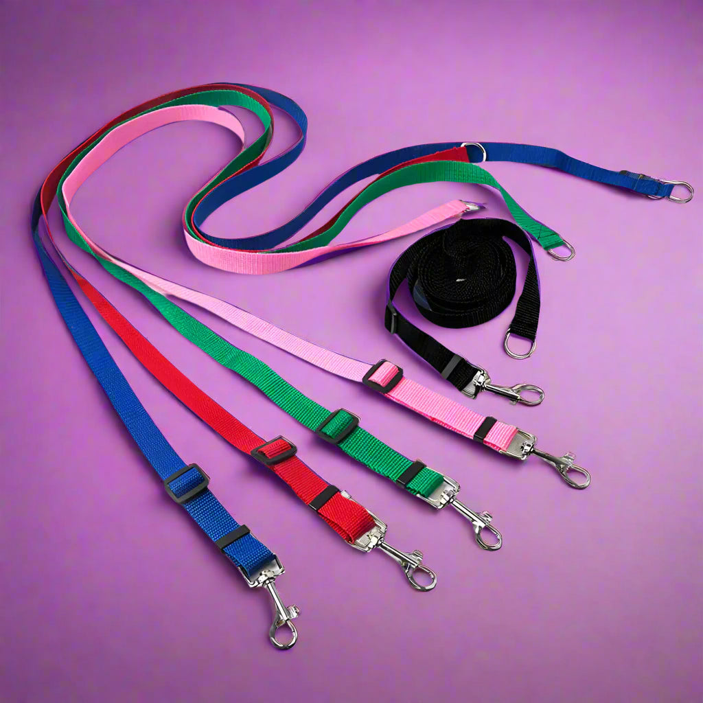 leash safety for dogs
 Durable Long Leash for Dog Training