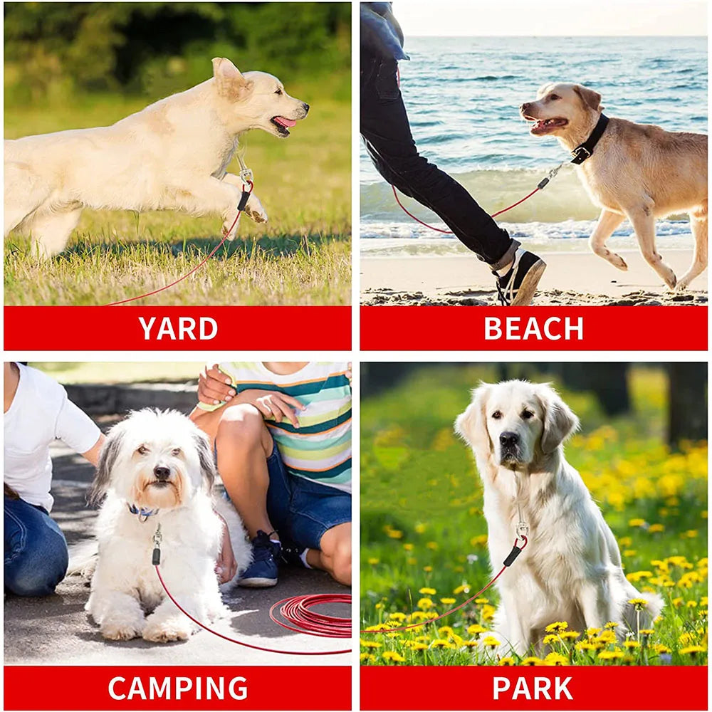 leash safety for dogs
 Strong Dog Cable Leash for Outdoor Use