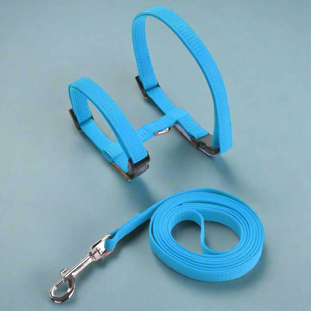 light blue Adjustable Cat Harness Leash Set