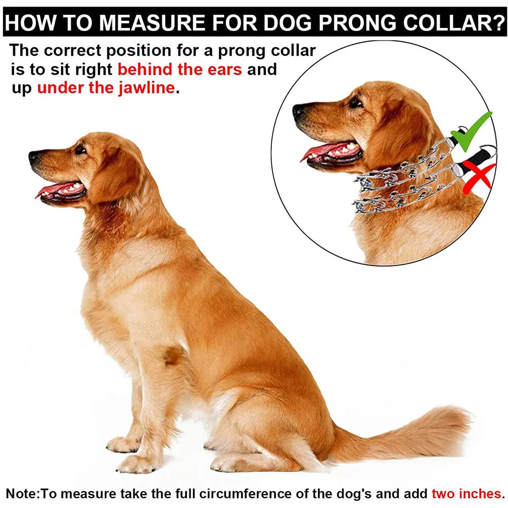 metal collar for dog