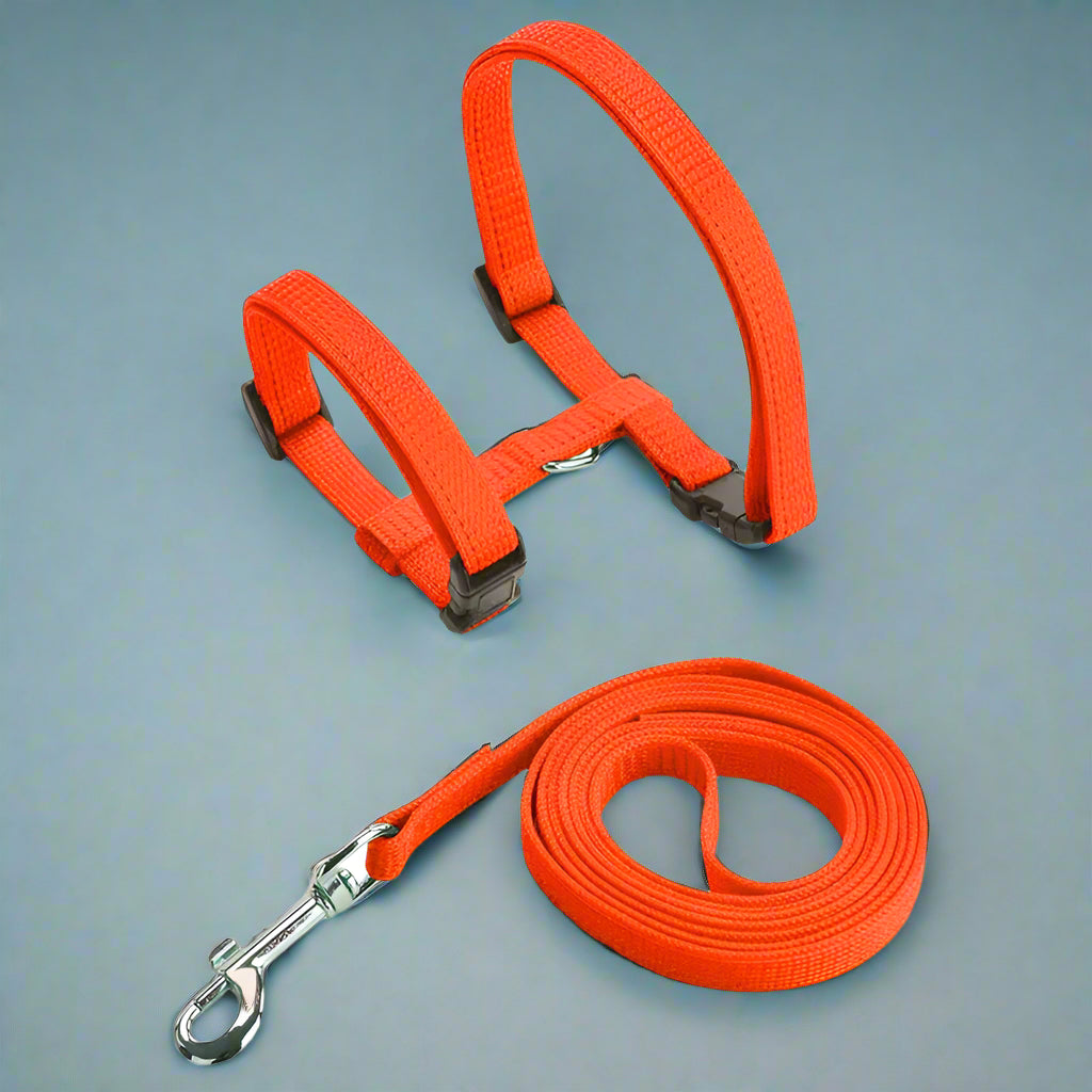 orange Adjustable Cat Harness Leash Set
