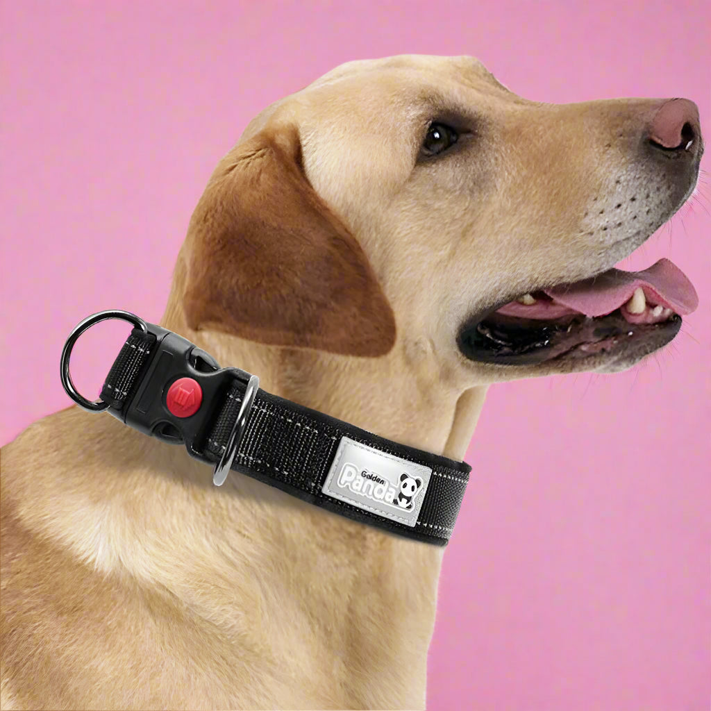 outdoor dog leash
 Reflective Soft Padded Nylon Dog Collar