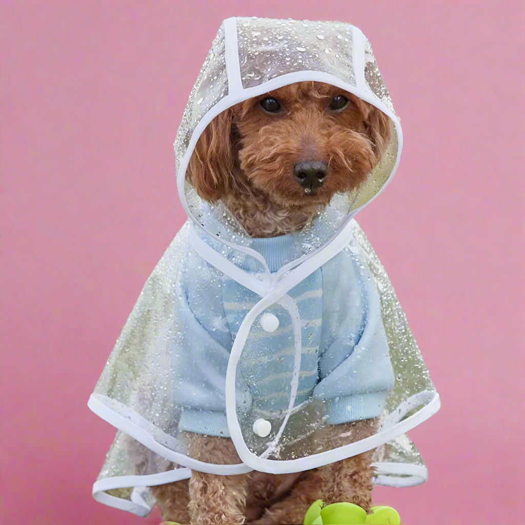 pet clothing
 Clear Raincoat for Small Dogs